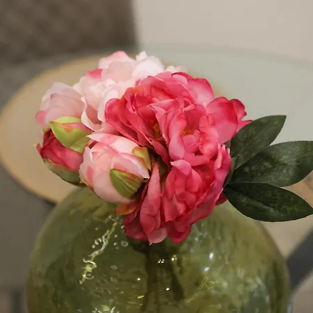 Luxury Regina 14 公寓